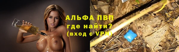 ГАЛЛЮЦИНОГЕННЫЕ ГРИБЫ Верхний Тагил